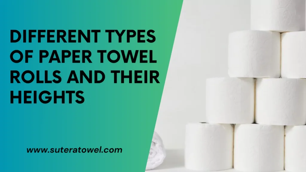 Different Types Of Paper Towel Rolls And Their Heights