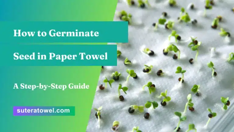 How to Germinate Seed in Paper Towel