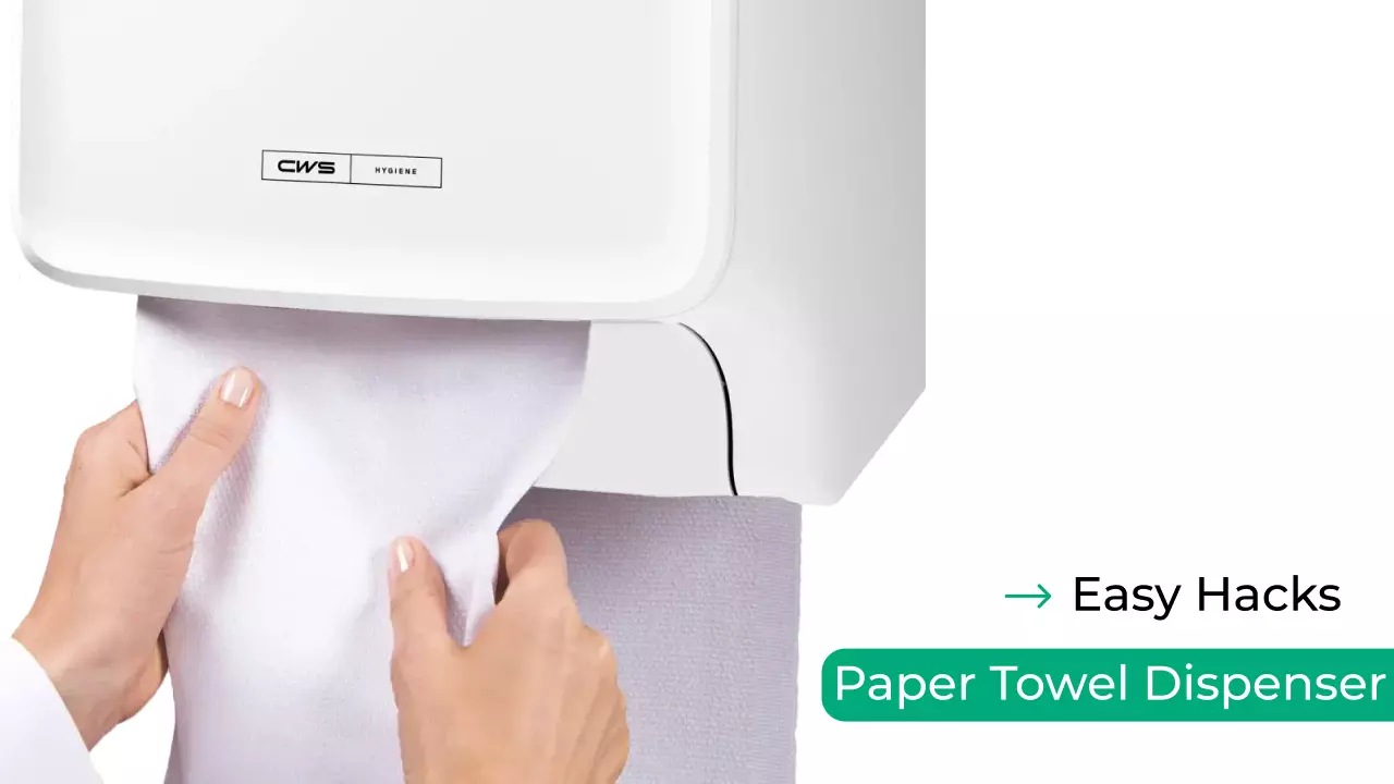 Paper Towel Dispenser