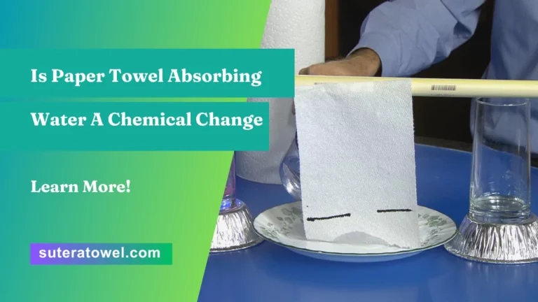 Is Paper Towel Absorbing Water A Chemical Change