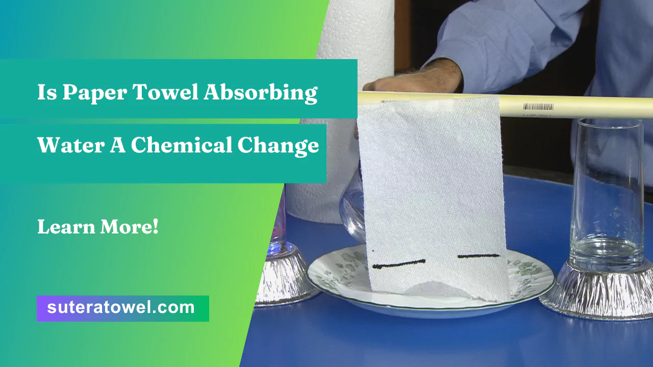 Is Paper Towel Absorbing Water A Chemical Change? Learn More!