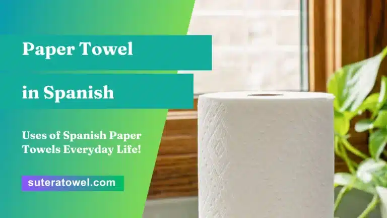 Paper Towel in Spanish