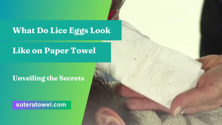 What Do Lice Eggs Look Like on Paper Towel