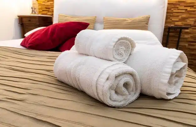 The Versatility Of Egyptian Cotton Towels