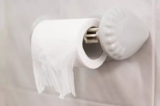 Environmental Impact Of Toilet Paper Towel Clogs