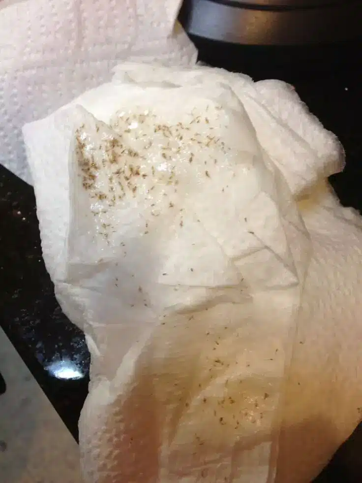 Nits On Paper Towel Are Harmful To Health