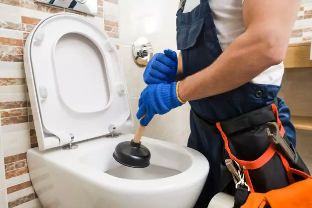 Practical Tips For Toilet Maintenance