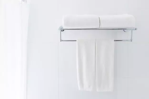 The Future Of Butthole Towel Holders