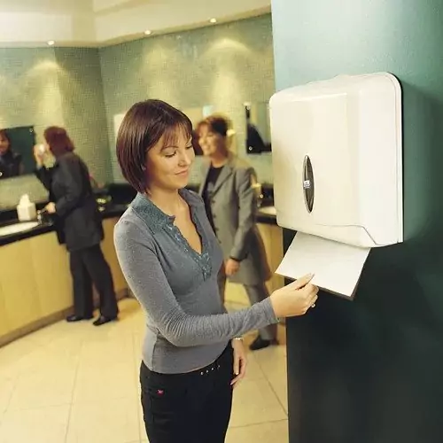 The Paper Towel Dispenser Incident