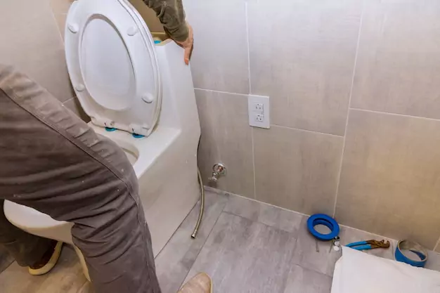Understanding The Mechanics Of Toilet Drainage