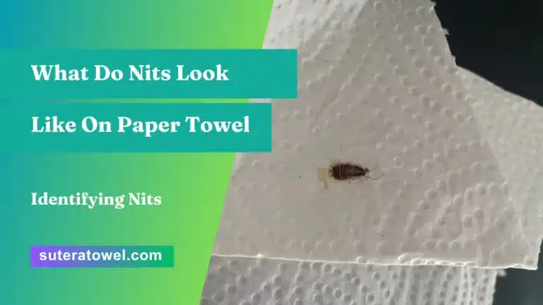 What Do Nits Look Like On Paper Towel